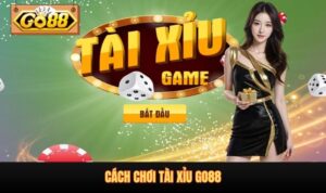 Cách chơi tài xỉu