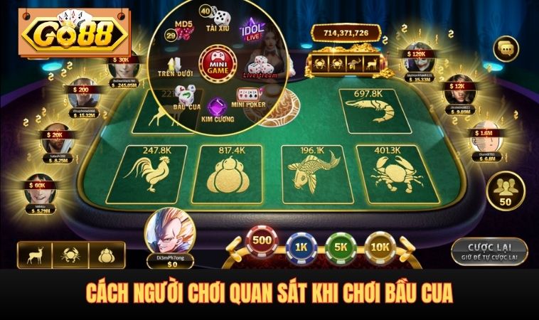 Cách người chơi quan sát khi chơi Bầu Cua Online