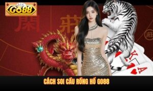 Cách soi cầu Rồng Hổ