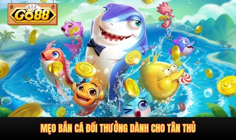 Mẹo bắn cá đổi thưởng dành cho tân thủ