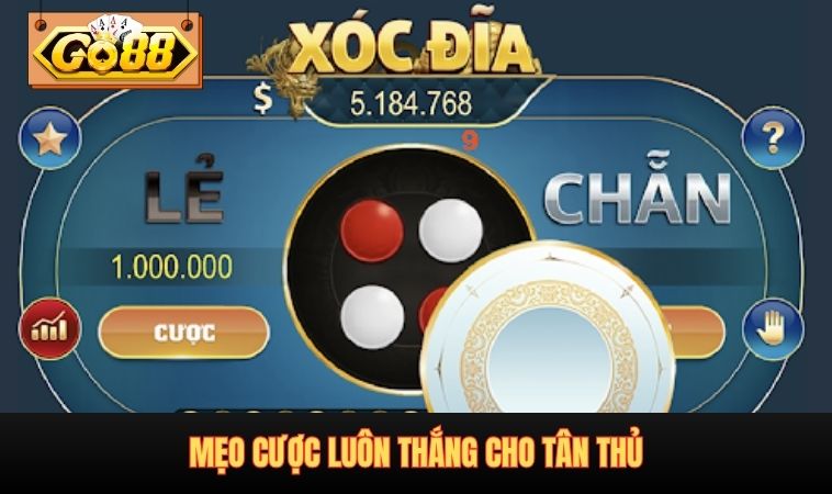 Mẹo cược luôn thắng cho tân thủ